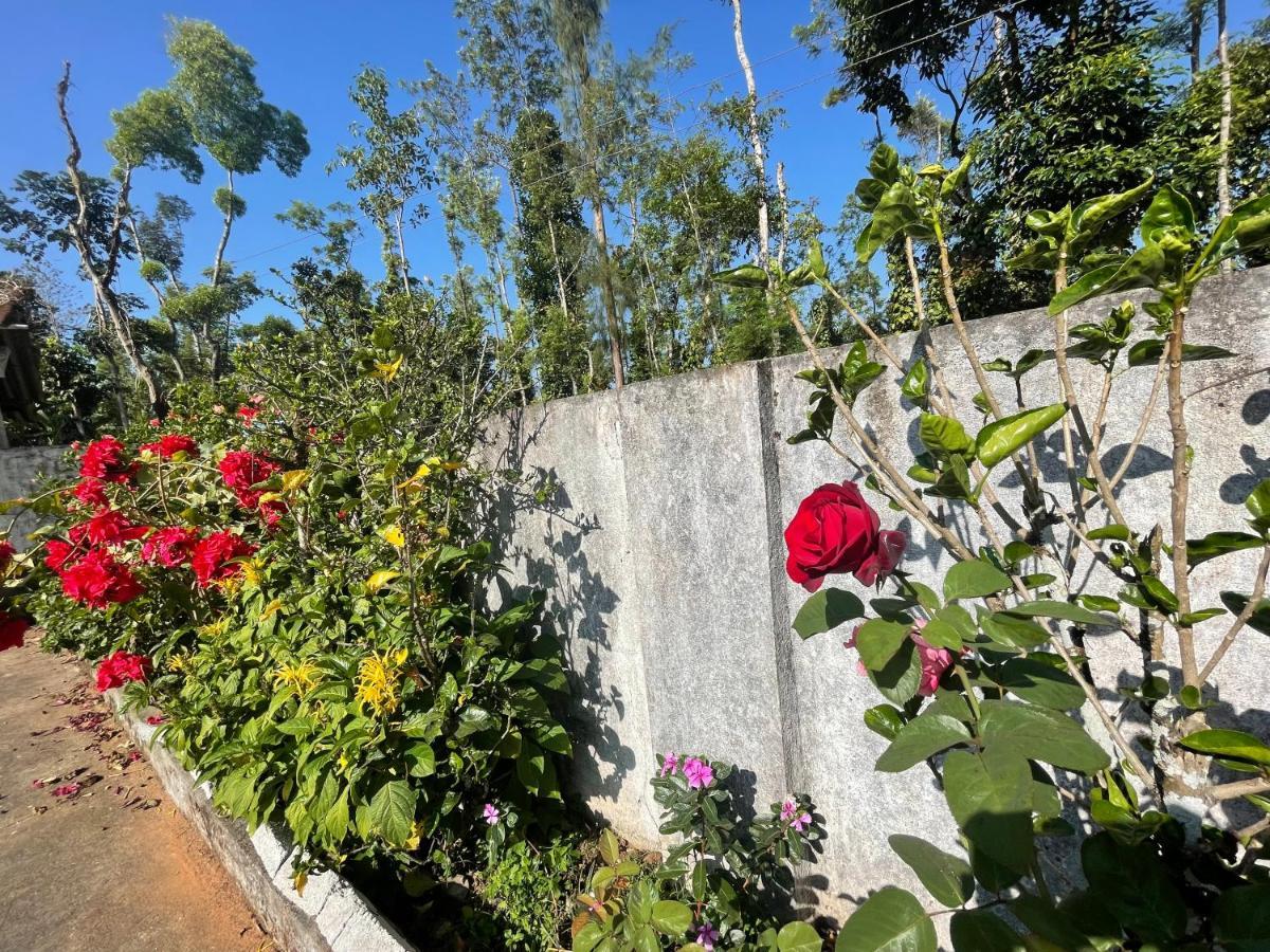 New Organic Home Stay Mudigere Exterior foto