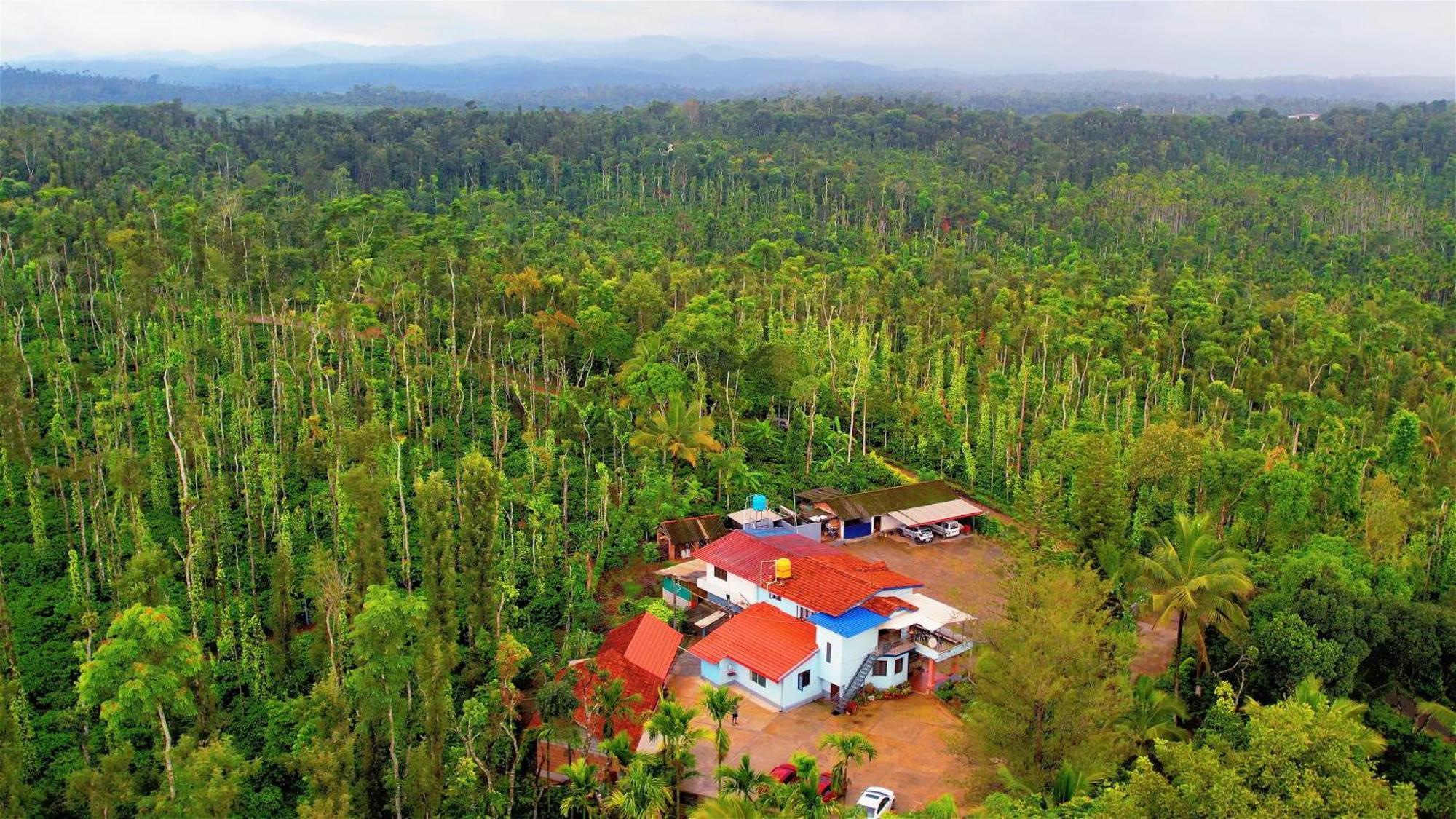 New Organic Home Stay Mudigere Exterior foto